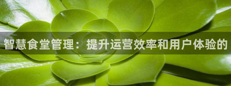 尊龙人生就是博登录首页