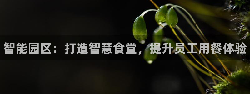 凯时AG网