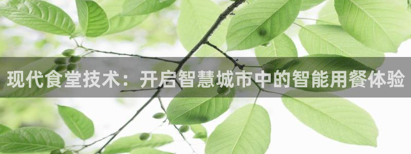 凯时k66官方发布