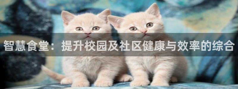 尊龙凯时合法吗?