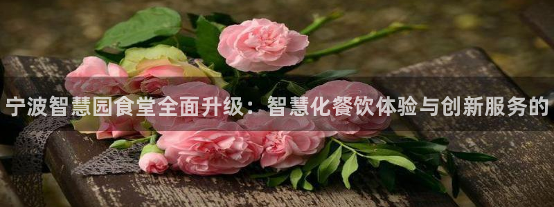 尊龙t300和t400哪个好